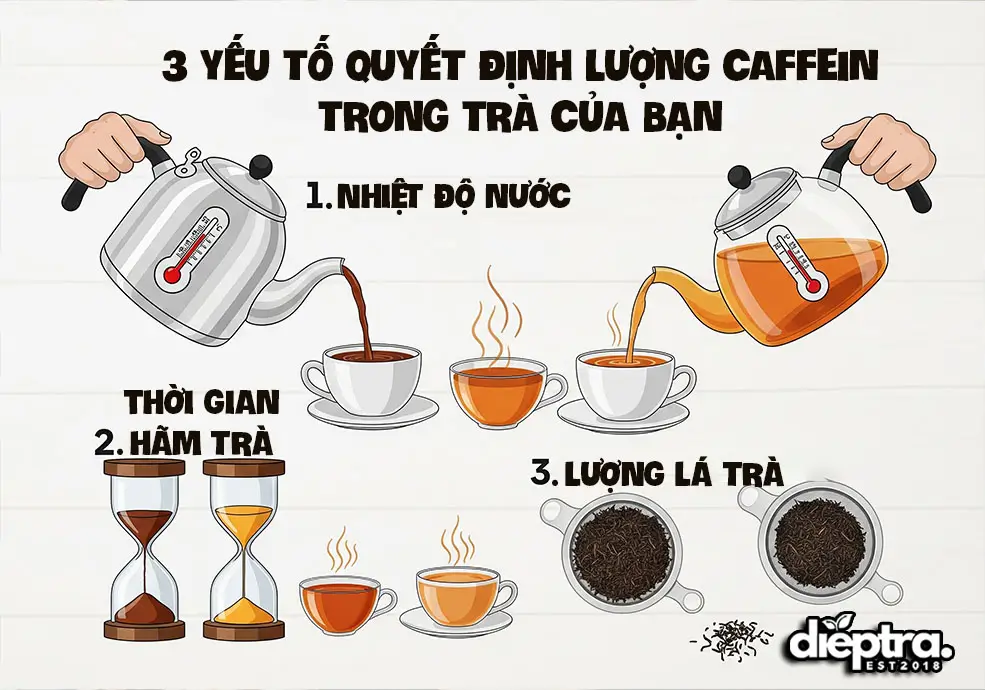 Các yếu ảnh hưởng đến cafein trong trà