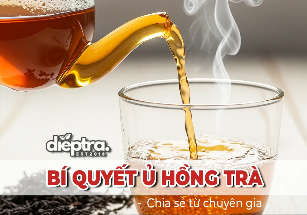 Cẩm nang ủ Hồng Trà Sài Gòn từ chuyên gia