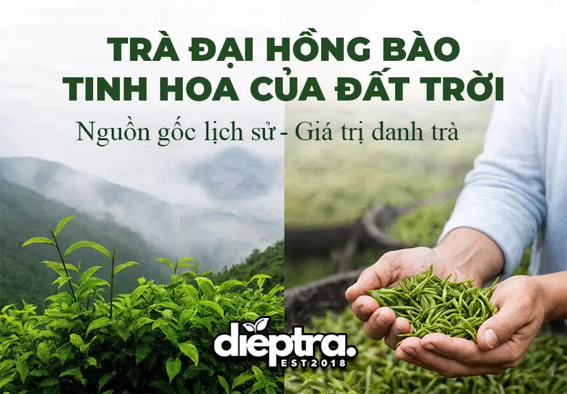 Giới thiệu về trà Đại Hồng Bào