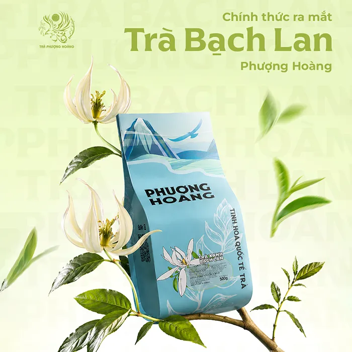 Trà Bạch Lan | Phượng Hoàng