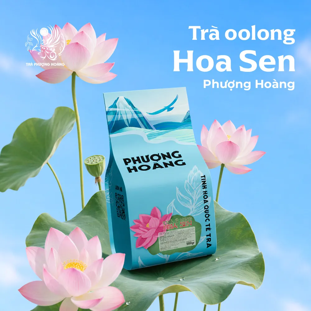 Trà Ô Long Hoa Sen Độc Đáo | Phượng Hoàng